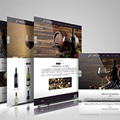 【嘉定網(wǎng)站設(shè)計(jì)】華夕SEO網(wǎng)絡(luò)優(yōu)化網(wǎng)頁(yè)設(shè)計(jì)的新視角